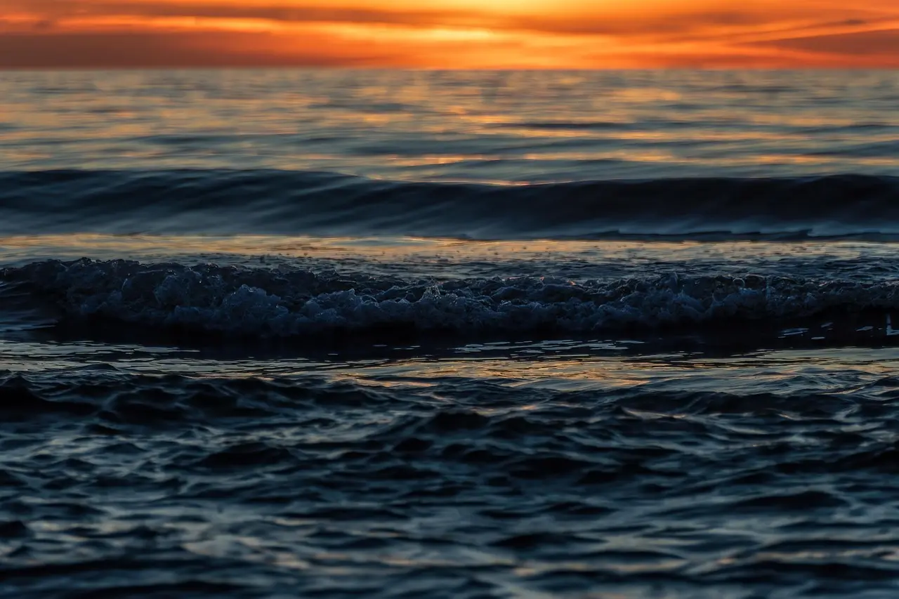 Sådan laver du bål ved Vesterhavet uden at bryde reglerne
