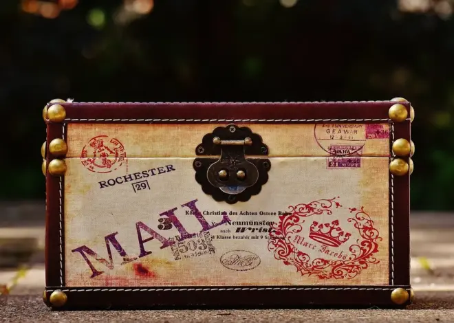 11 typiske fejl med kapillærkasser til tomater i drivhuset