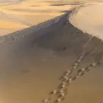 6 korte rundture i Marbæk Plantage med udsigt