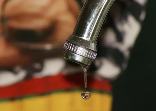 7 metoder til at opdage metanlækager fra biogasanlæg