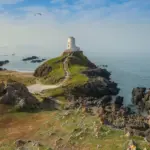 8 gode fugletårne på Lolland-Falster med parkering