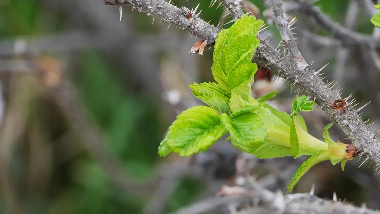 8 kystnære shelterpladser på Samsø