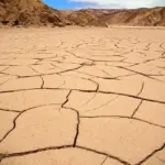 Elbilens CO2-balance i Danmark: fra batteriproduktion til elforbrug