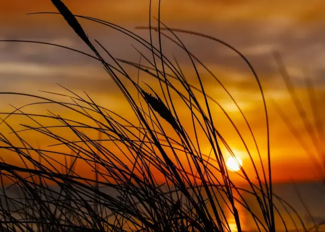 Er der drikkevandshaner langs Himmelbjergruten?