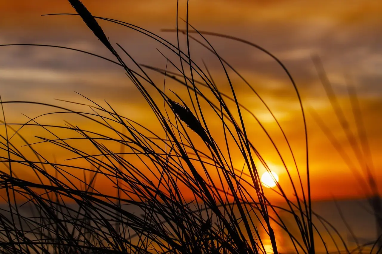 Er der drikkevandshaner langs Himmelbjergruten?
