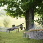 Er hængekøjecamping lovligt i Gribskov?