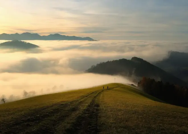 Hvor finder jeg barnevognsvenlige ruter i Rold Skov?