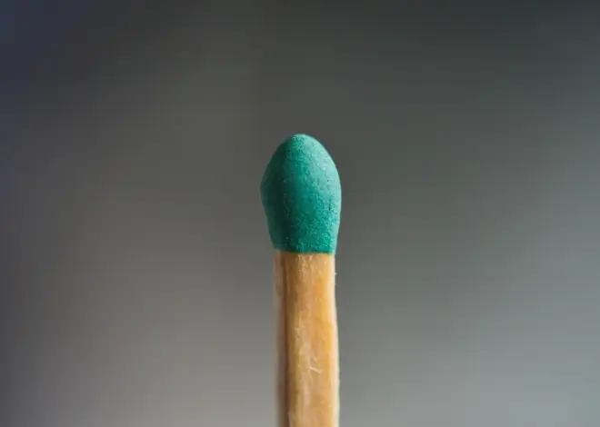 Hvorfor stiger fosforkoncentrationen i danske vandløb om vinteren?