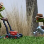 Hvornår skal man vertikalskære græsplænen i Danmark?