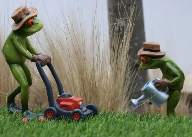 Hvornår skal man vertikalskære græsplænen i Danmark?