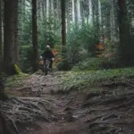 Kan man tage klapvogn med på den blå rute i Rebild Bakker?