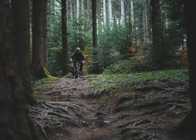 Kan man tage klapvogn med på den blå rute i Rebild Bakker?