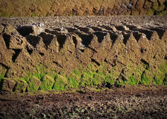 Kulstofbinding i lavbundsjorde: tal og usikkerheder