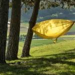 Må man overnatte i hængekøje i Gribskov - og hvor?