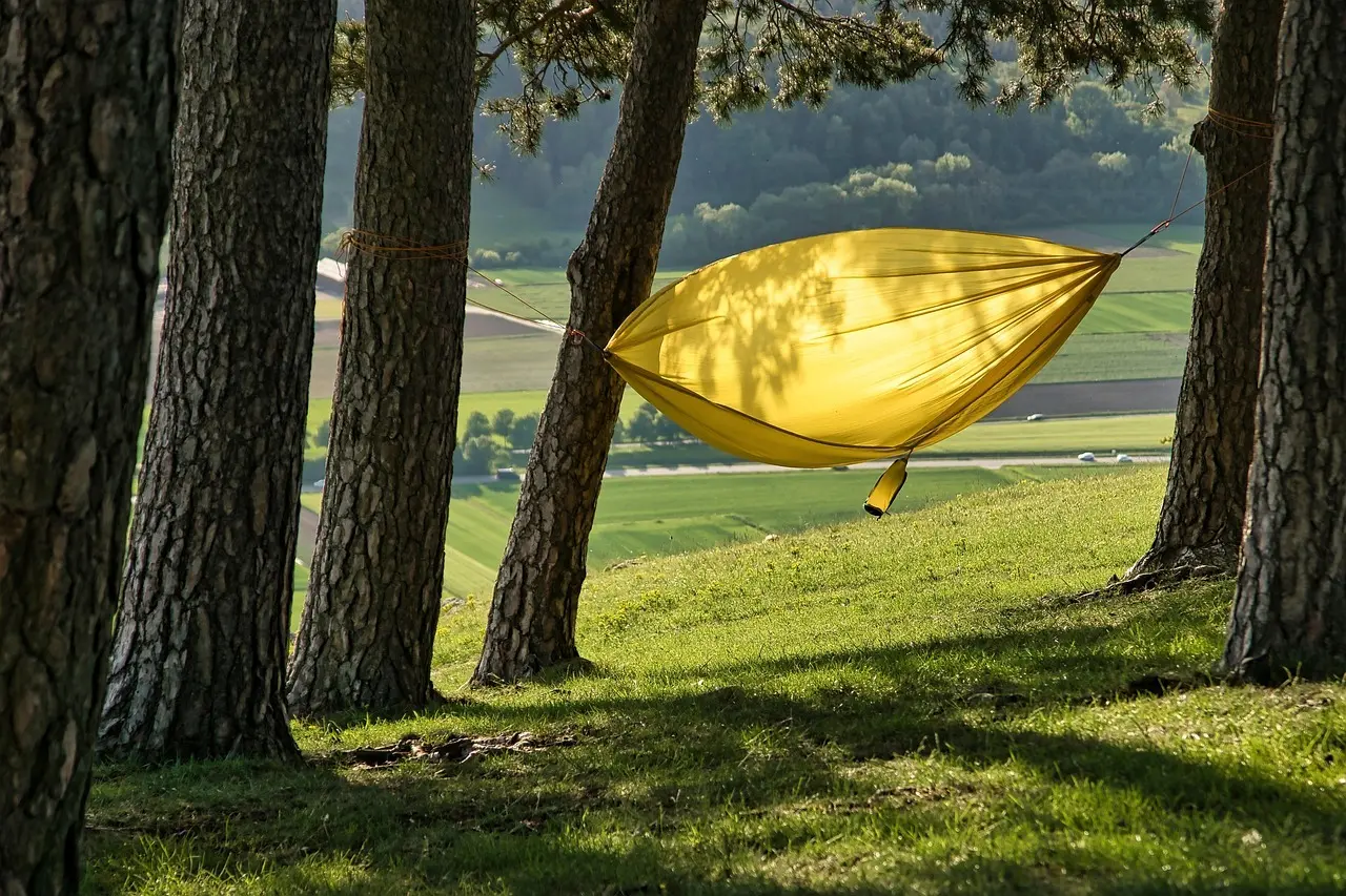 Må man overnatte i hængekøje i Gribskov – og hvor?