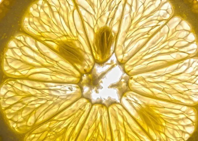 Miljøeffekter af sandfodring langs danske kyster