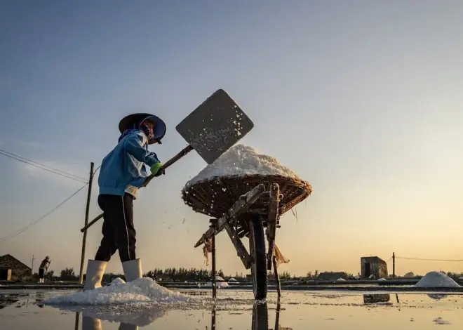 Miljøkonsekvenser af vejsalt i byområder