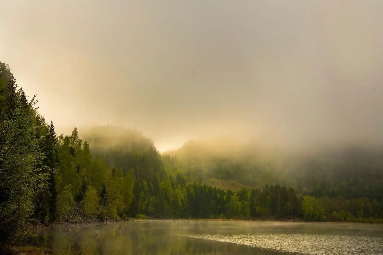 Sådan booker du shelters i Nordsjælland trin for trin