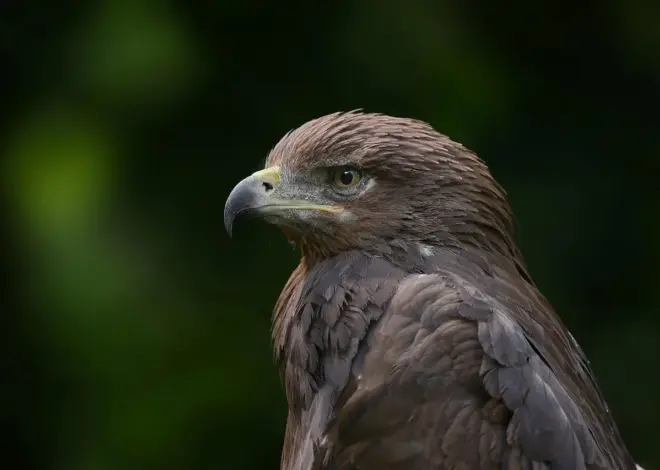 Tilgængelig rute ved Esrum Sø fra Havreholm P-plads