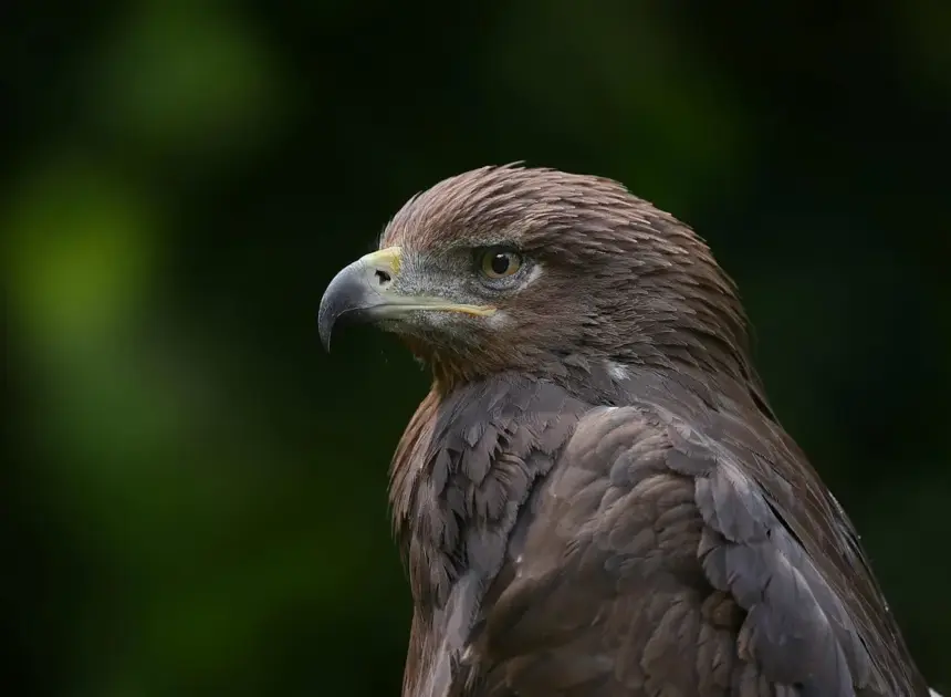 Tilgængelig rute ved Esrum Sø fra Havreholm P-plads