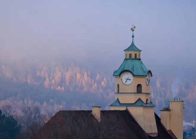 Zink og kobber fra tage: rensning af tagvand